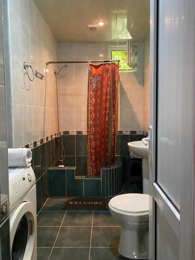 Lentekhi Guest House Konstanta Eksteriør billede